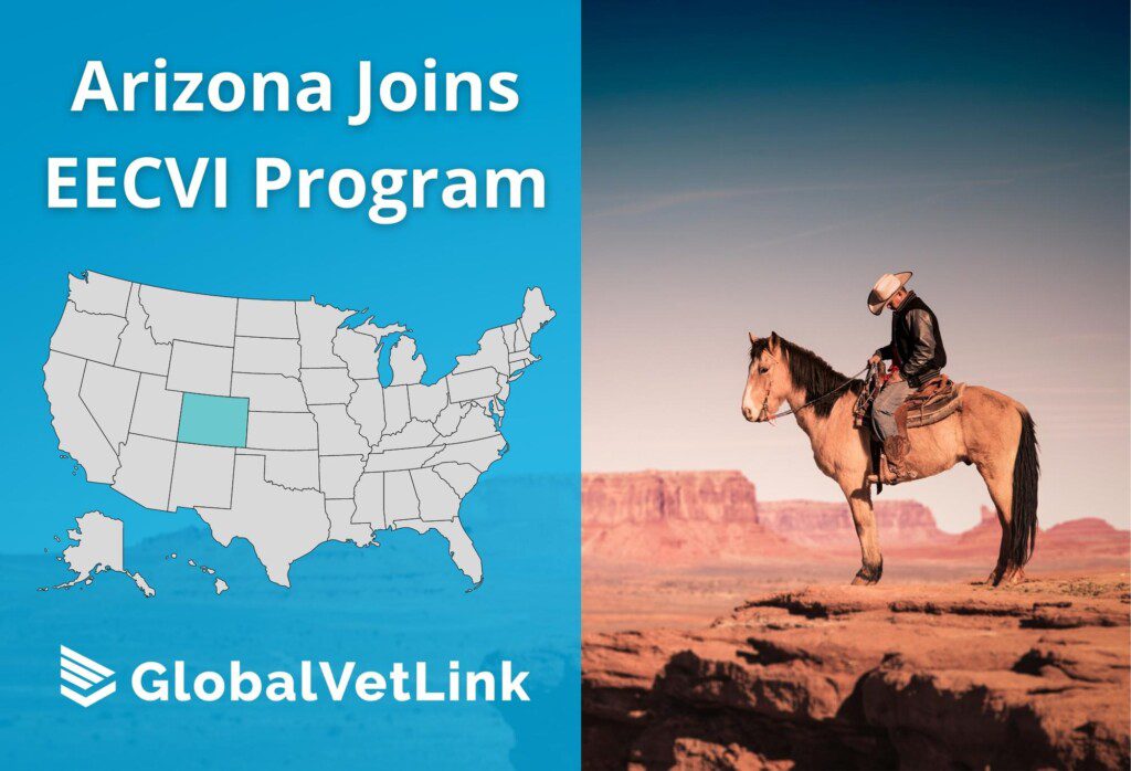 Arizona Accepts SixMonth Equine Health Certificates GlobalVetLink