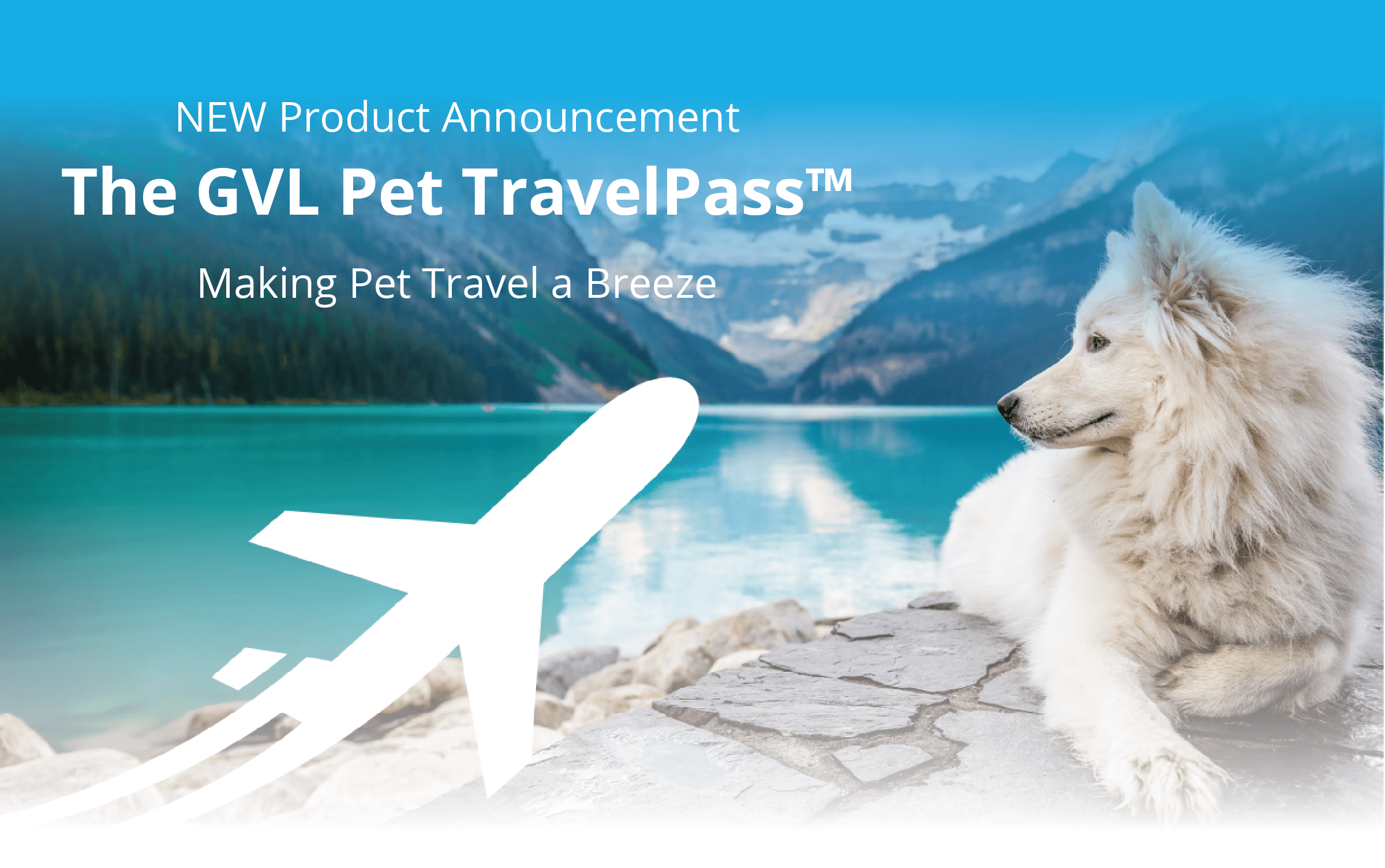 international pet travel service