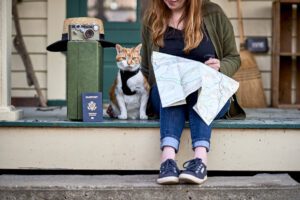 Cat Traveling International