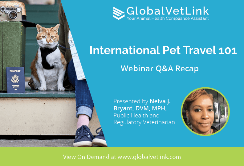 Q&A from International Pet Travel 101 webinar