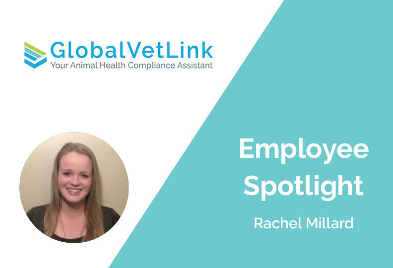 GVL Employee Spotlight: Rachel Millard