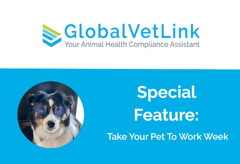Special Feature: Take Your Pet to Work Week® - June 20–24, 2022 -  GlobalVetLink