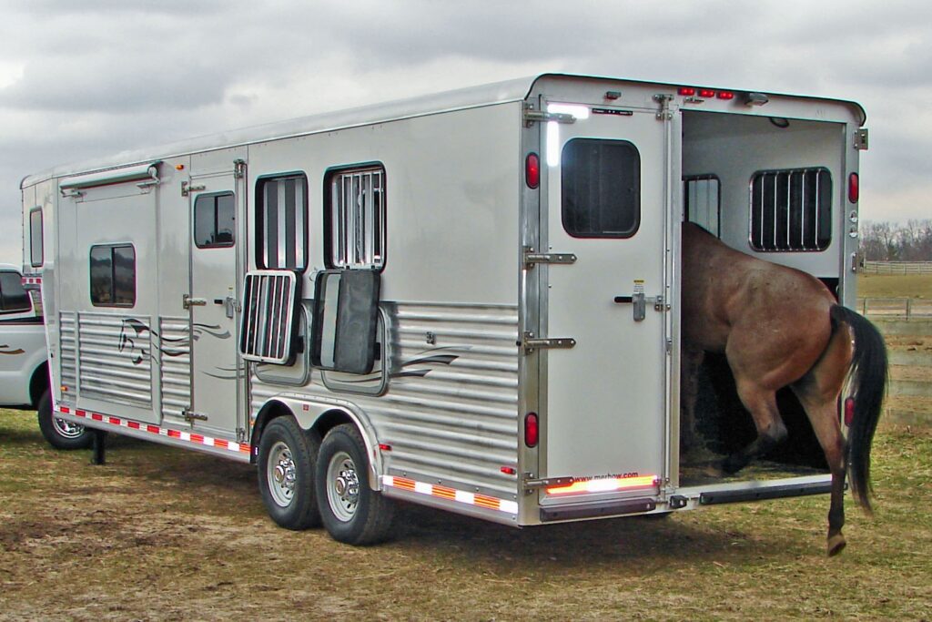 Tips Keeping Your Horse Cool in Summer GlobalVetLink