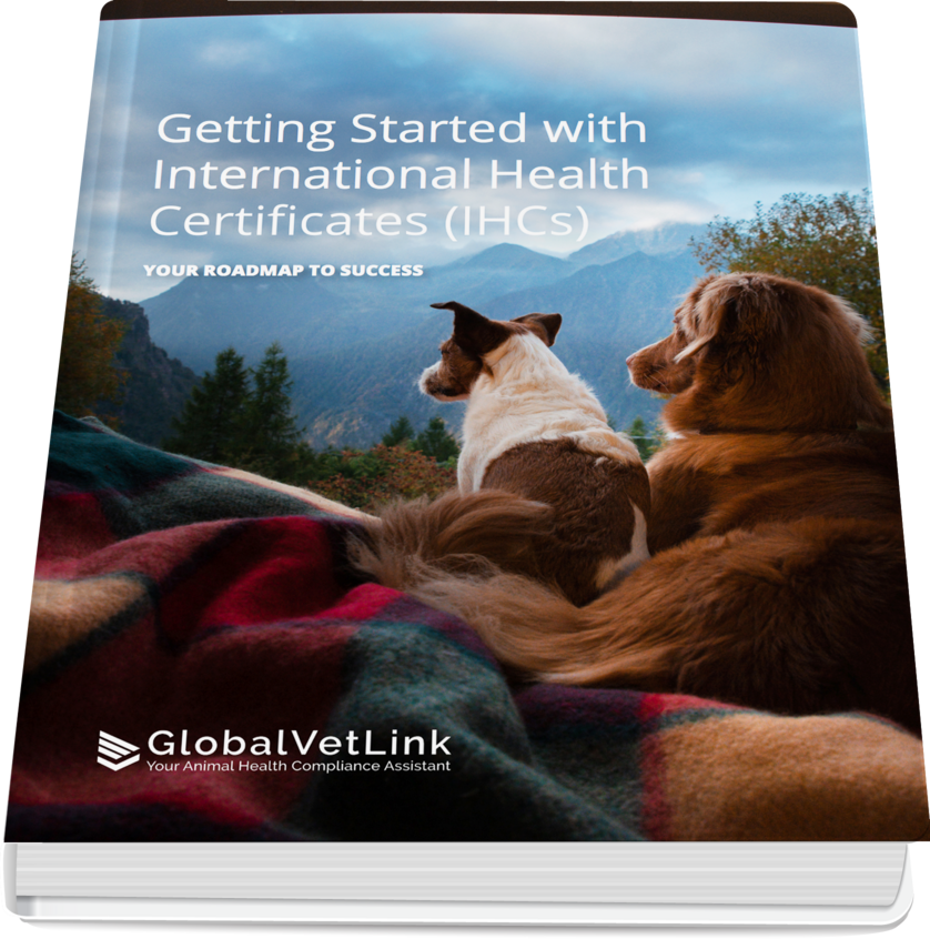 pet travel statistics 2022