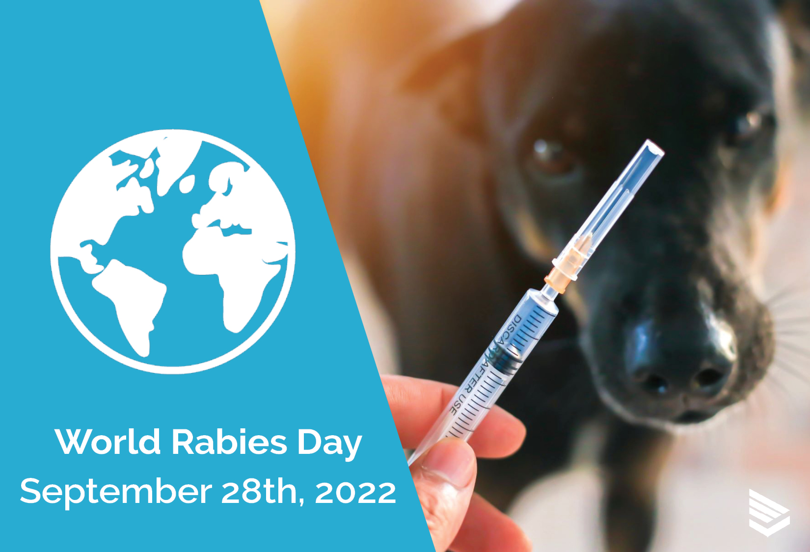 Observing World Rabies Day 2022 GVL