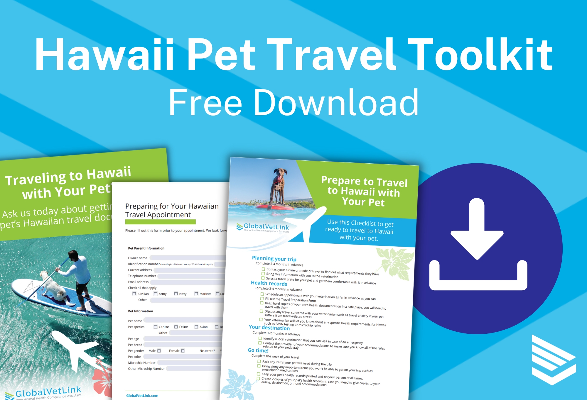 hawaii.gov pet travel