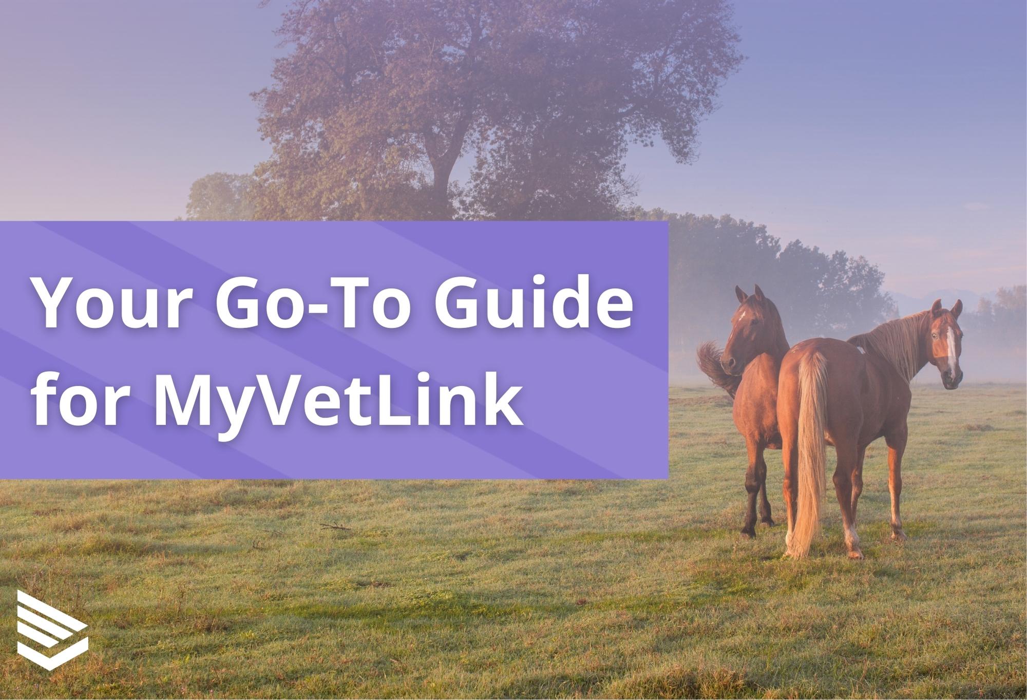 Your Go To Guide For MyVetLink Login GlobalVetLink