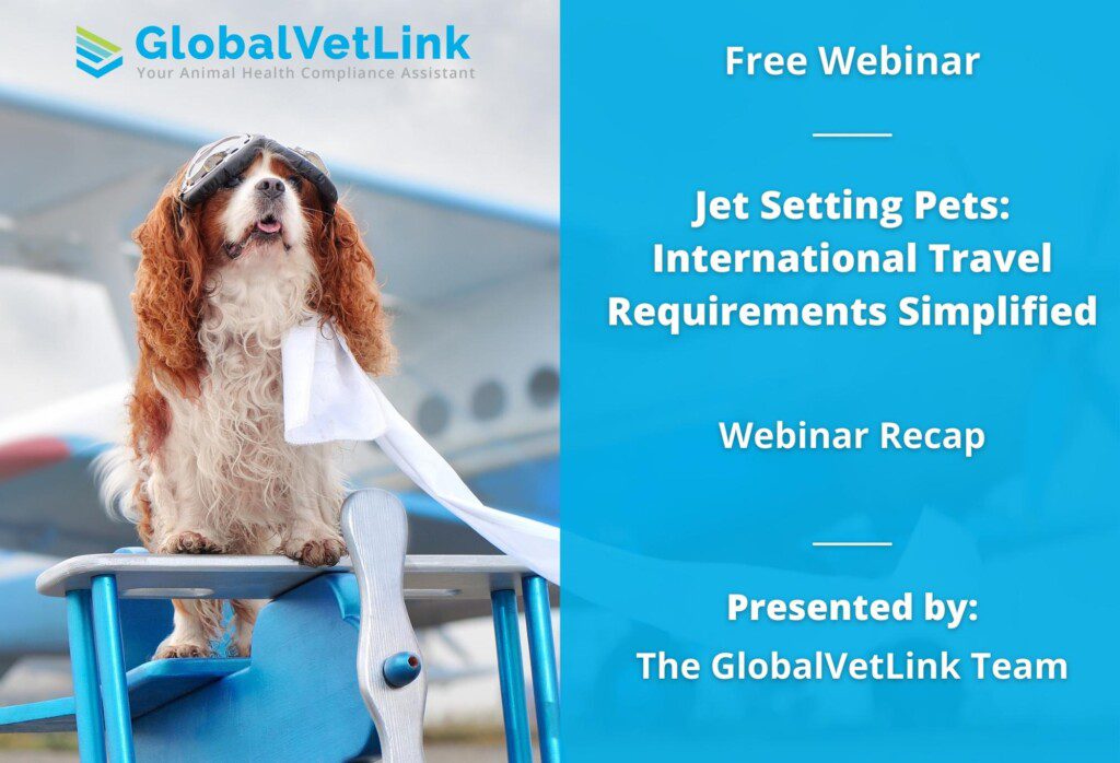Webinar Recap Jet Setting Pets International Pet Travel Requirements