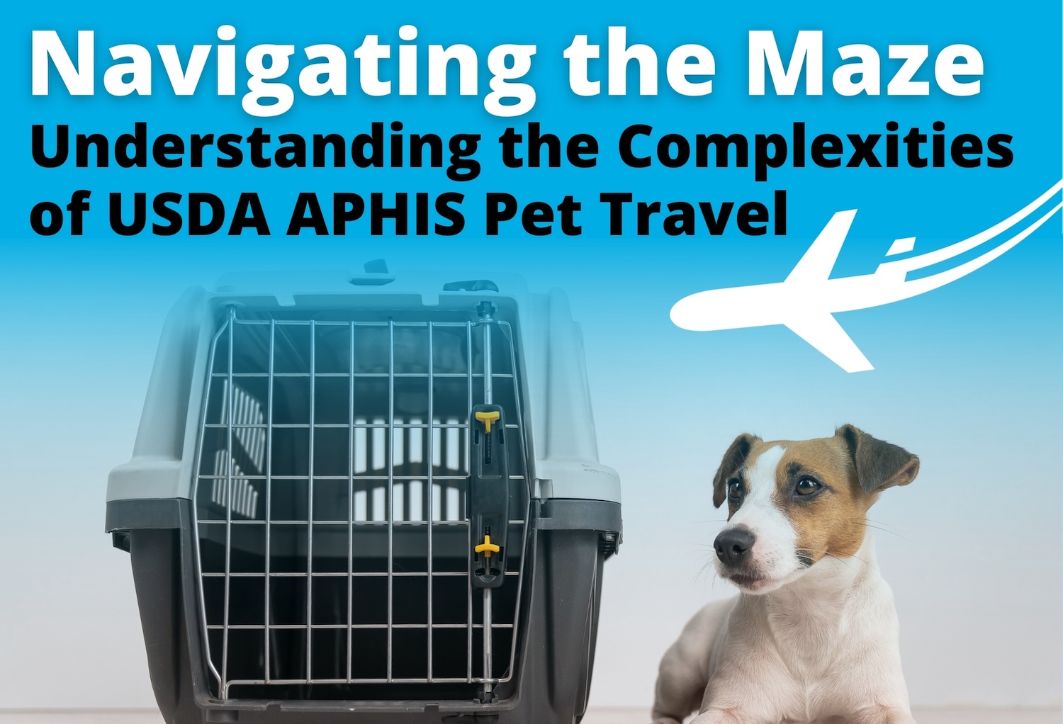 usda aphis pet travel to cayman islands